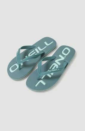 Profile Logo Sandals | North Atlantic